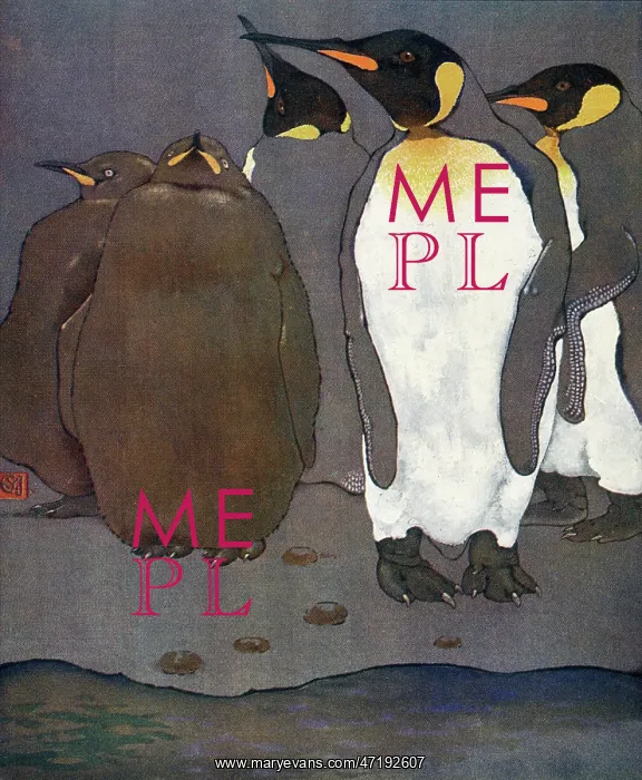  : KING PENGUINS