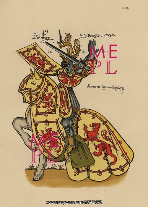 : King of Scotland, roi des Ecossais : King of Scotland, roi des Ecossais
