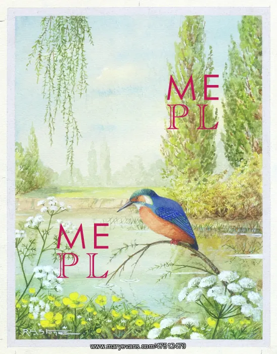 : Kingfisher on a bough beside a river : Kingfisher on a bough beside a river