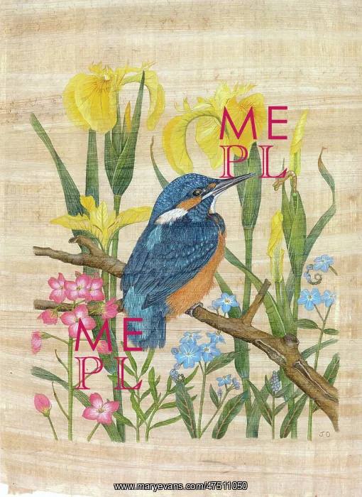  : Kingfisher with Irises etc