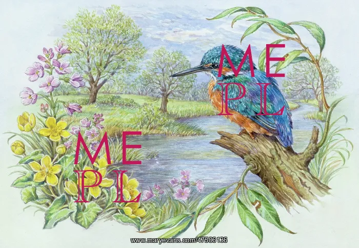 : Kingfisher by a River, with kingcups etc : Kingfisher by a River, with kingcups etc