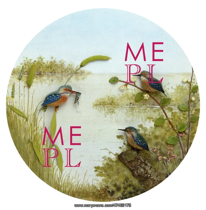 : Kingfisher and Young : Kingfisher and Young