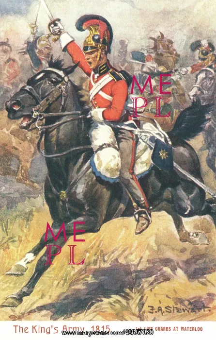  : The King's Army 1815