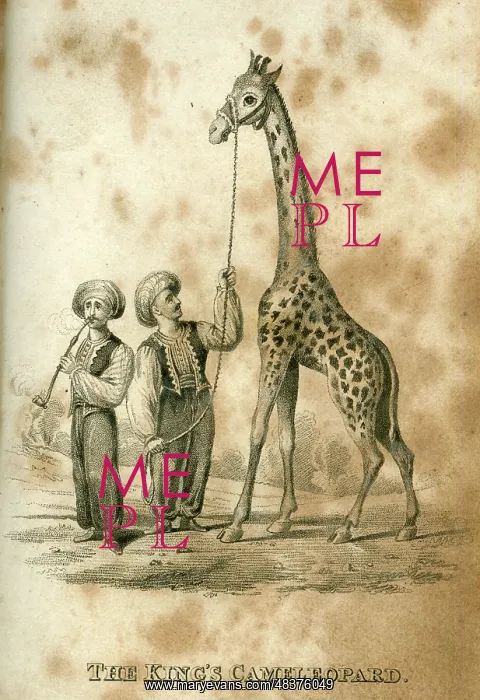 : The King's Cameleopard -- George IV's giraffe : The King's Cameleopard -- George IV's giraffe
