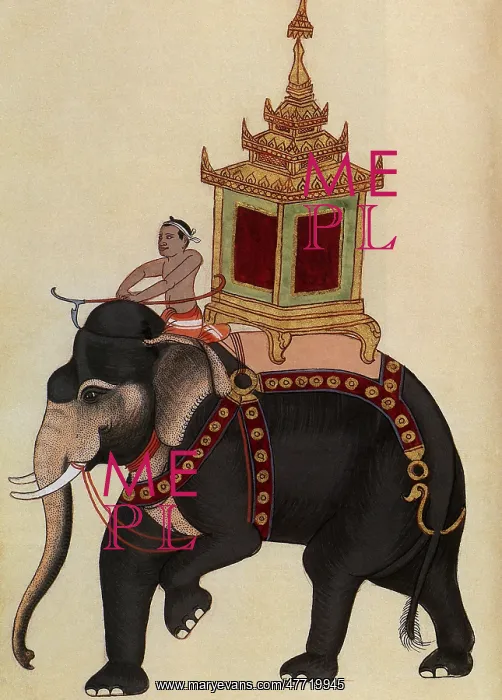  : The King's Elephant