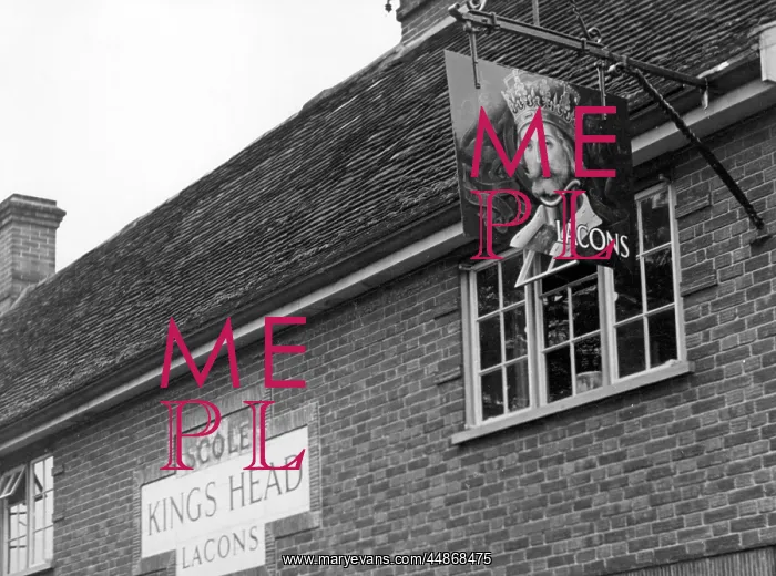  : KING'S HEAD PUB SIGN