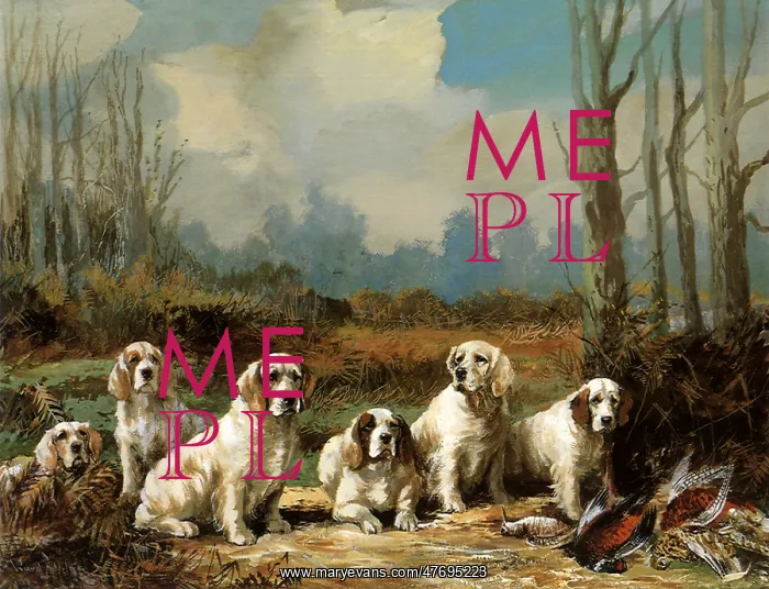 : King's Spaniels : King's Spaniels