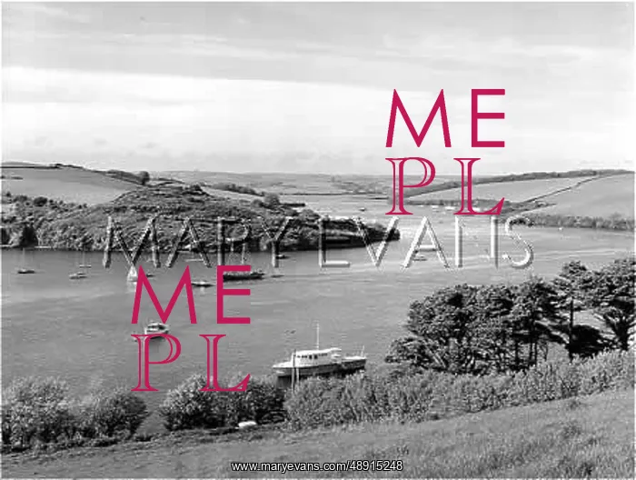 : KINGSBRIDGE ESTUARY : KINGSBRIDGE ESTUARY