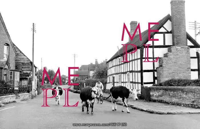  : Kingsland, the Village c1955