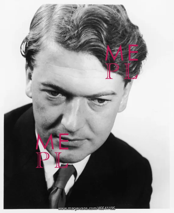 : KINGSLEY AMIS : KINGSLEY AMIS