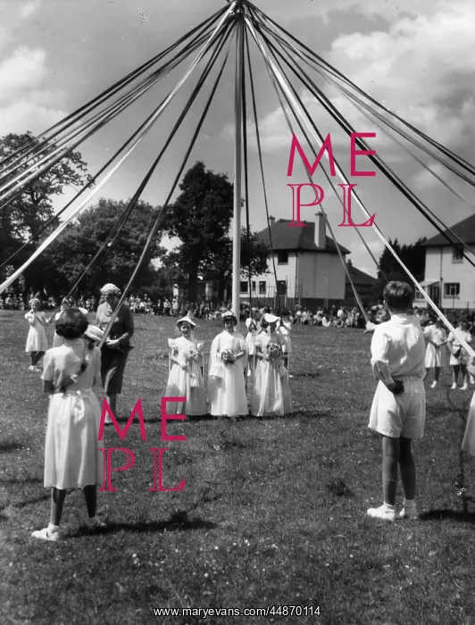 : KINGSTEIGNTON MAYPOLE : KINGSTEIGNTON MAYPOLE
