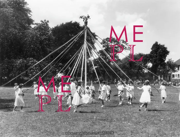 : KINGSTEIGNTON MAYPOLE : KINGSTEIGNTON MAYPOLE