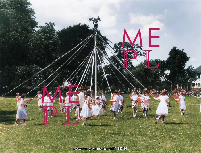 : KINGSTEIGNTON MAYPOLE : KINGSTEIGNTON MAYPOLE