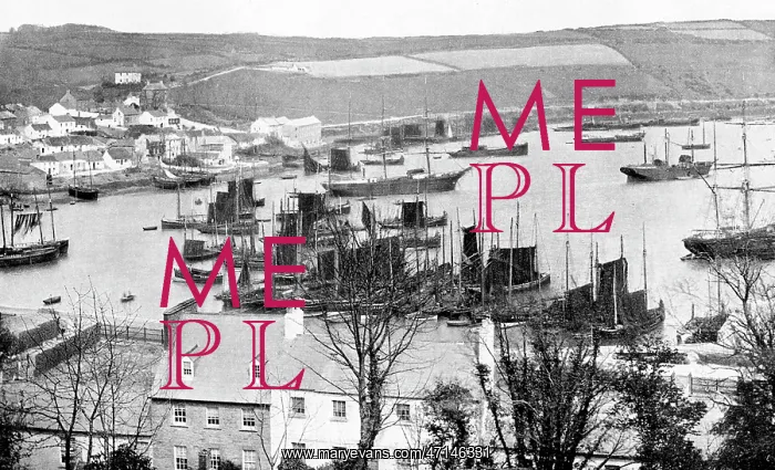  : Kinsale