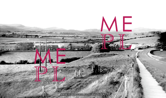  : Kirkby-in-Furness, Marshside c1955