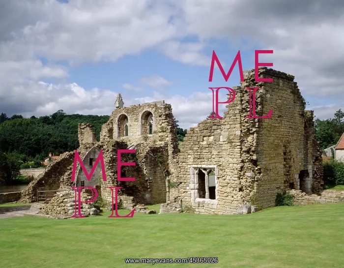 : Kirkham Priory : Kirkham Priory