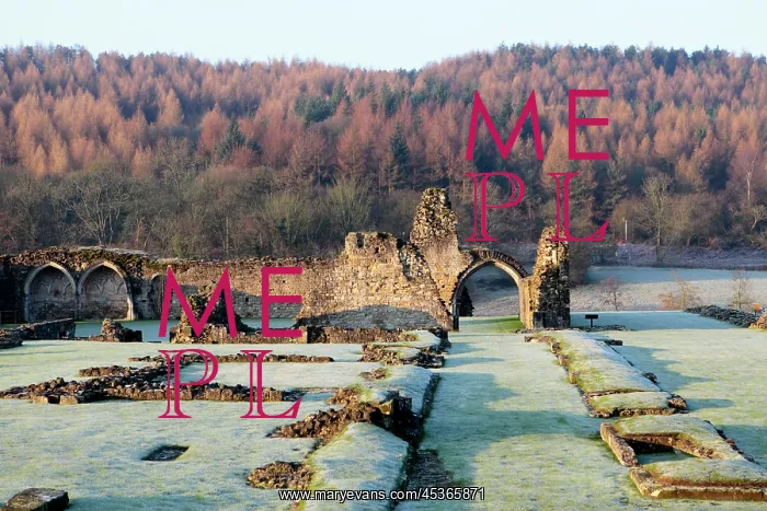: Kirkham Priory : Kirkham Priory