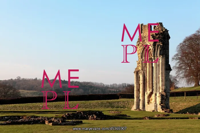 : Kirkham Priory : Kirkham Priory