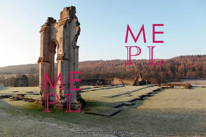 : Kirkham Priory : Kirkham Priory