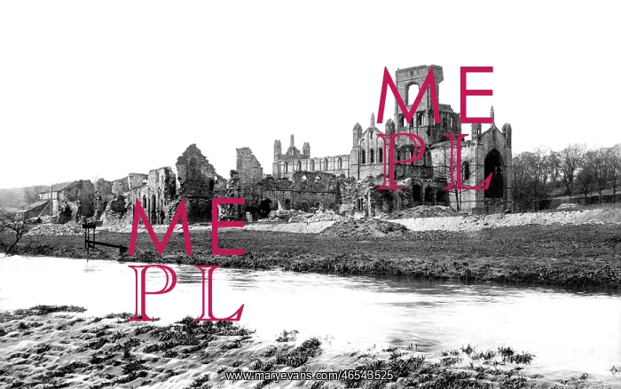 : Kirkstall Abbey, from the Weir 1891