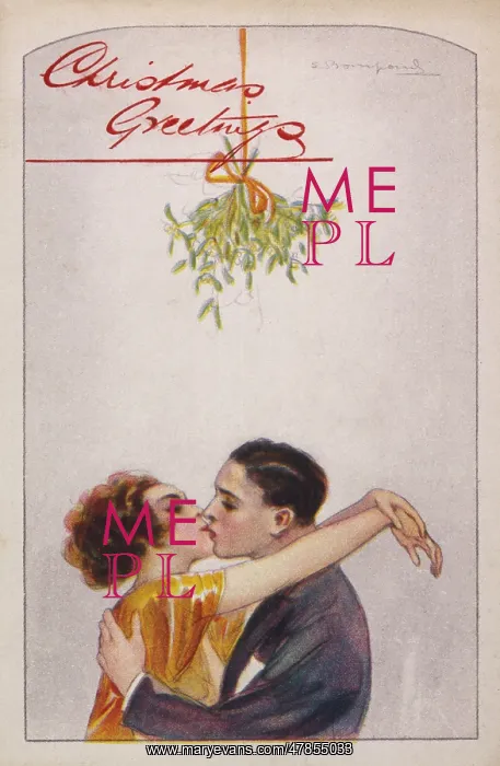  : KISSING. Putting the mistletoe to good use