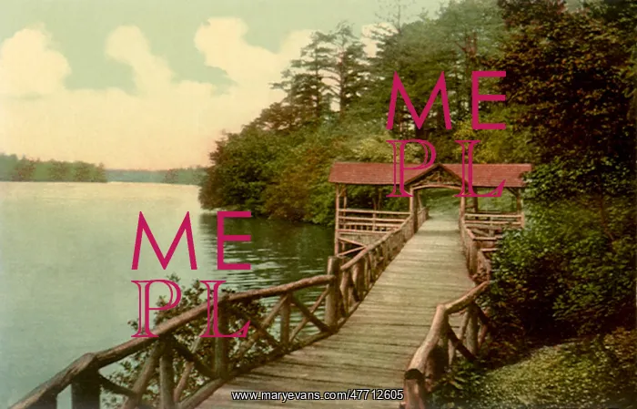  : Kissing Bridge
