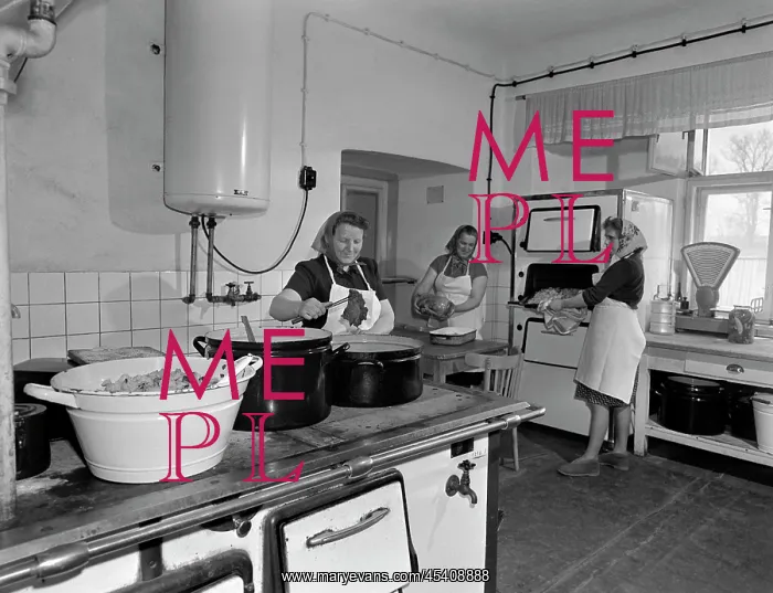 : Kitchen - cooking - cooks - meal - lunch : Kitchen - cooking - cooks - meal - lunch