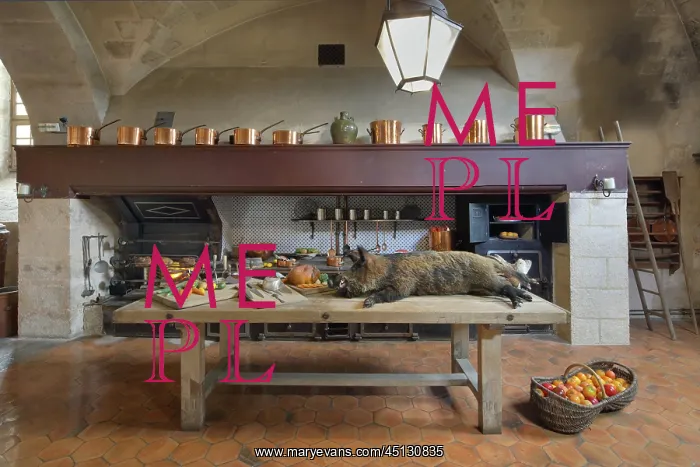 : Kitchens, Chateau de Vaux-le-Vicomte, Maincy : Kitchens, Chateau de Vaux-le-Vicomte, Maincy