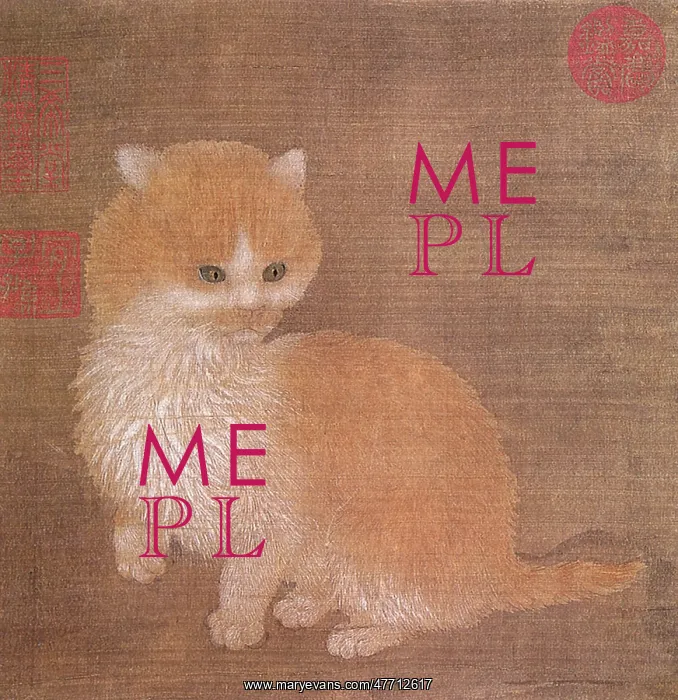  : Kitten
