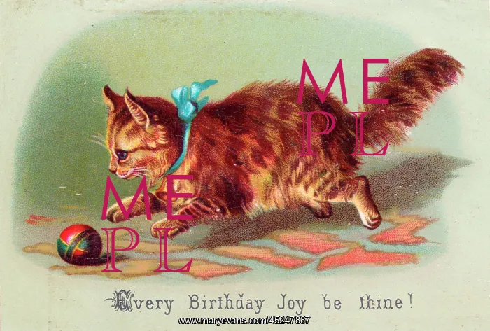 : Kitten with ball on a birthday card : Kitten with ball on a birthday card