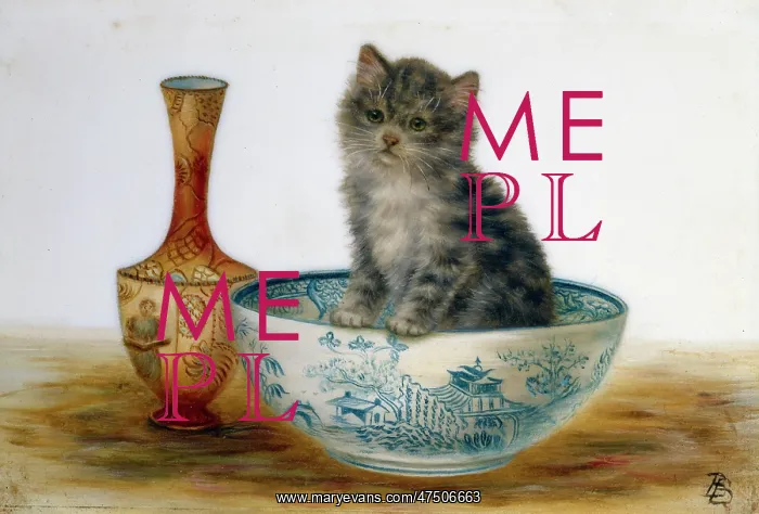 : Kitten in a blue and white bowl with vase : Kitten in a blue and white bowl with vase