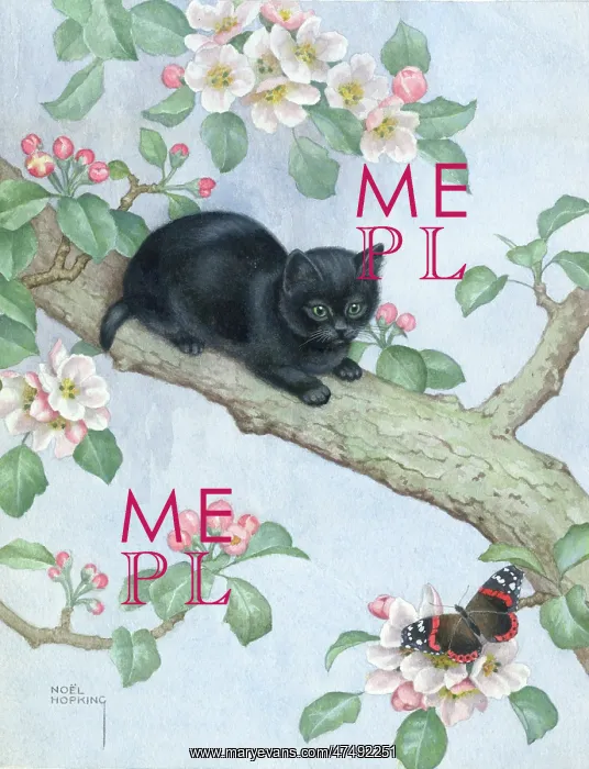 : Kitten on a Branch : Kitten on a Branch