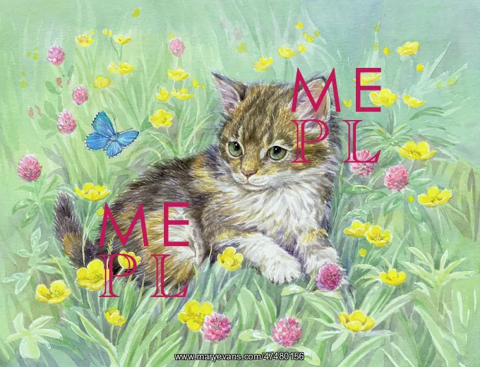 : Kitten with Butterfly, buttercups and clover : Kitten with Butterfly, buttercups and clover