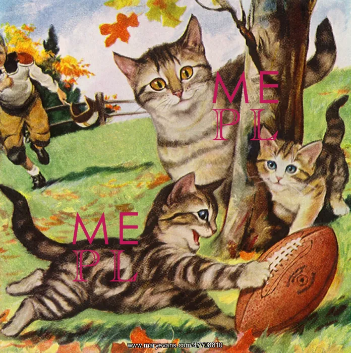 : Kitten Chases Football : Kitten Chases Football