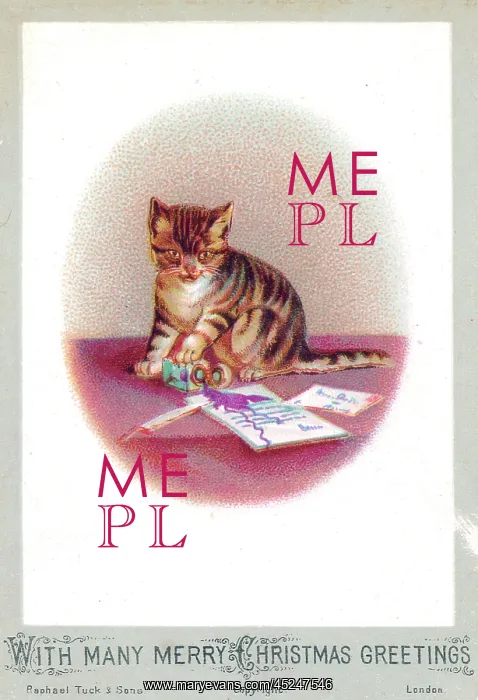  : Kitten on a Christmas card