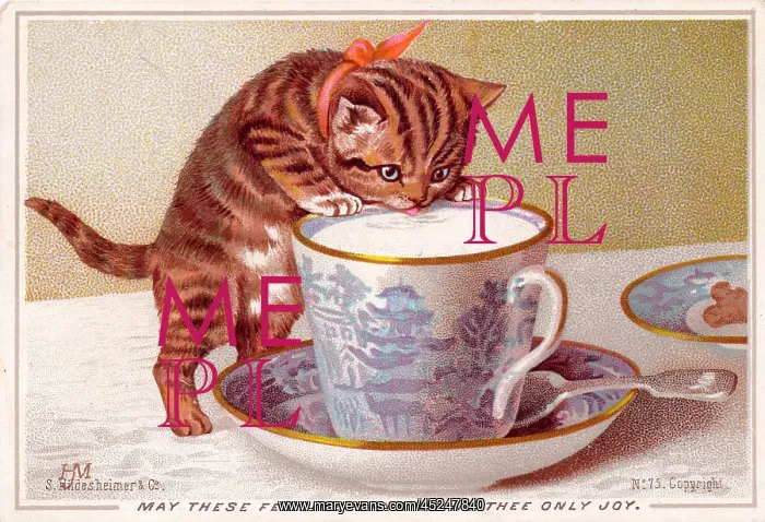 : Kitten with cup of milk on a Christmas card : Kitten with cup of milk on a Christmas card