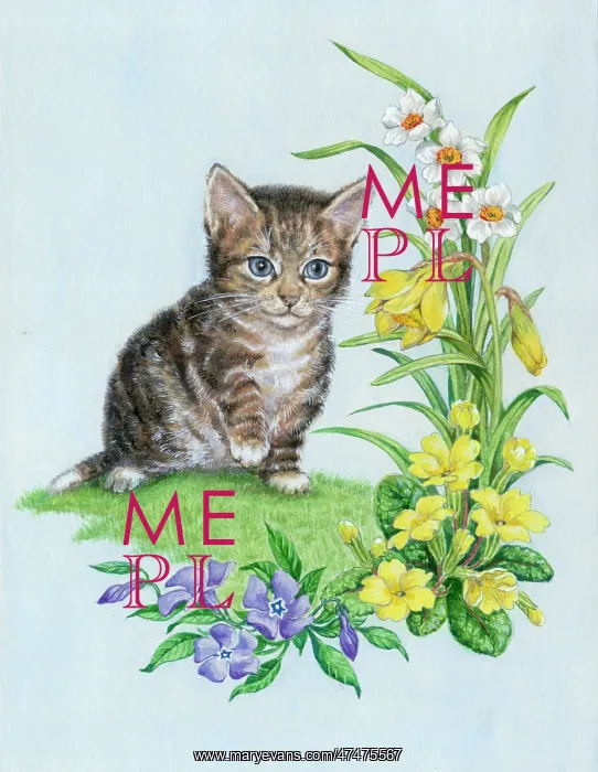 : Kitten with daffodils, primroses and periwinkle : Kitten with daffodils, primroses and periwinkle