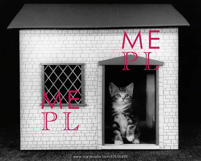 : Kitten in a doll's house : Kitten in a doll's house