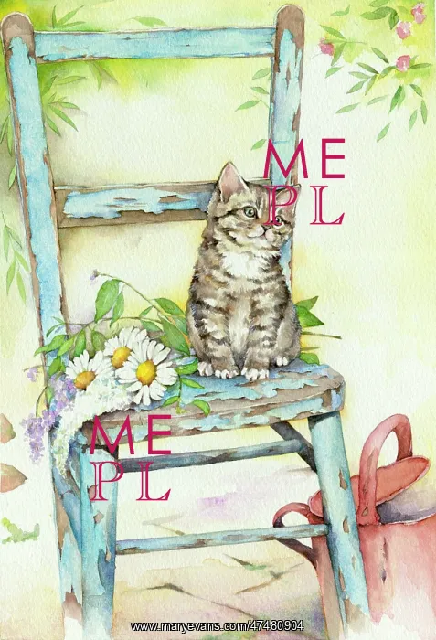: Kitten on Garden Chair with Watering Can : Kitten on Garden Chair with Watering Can
