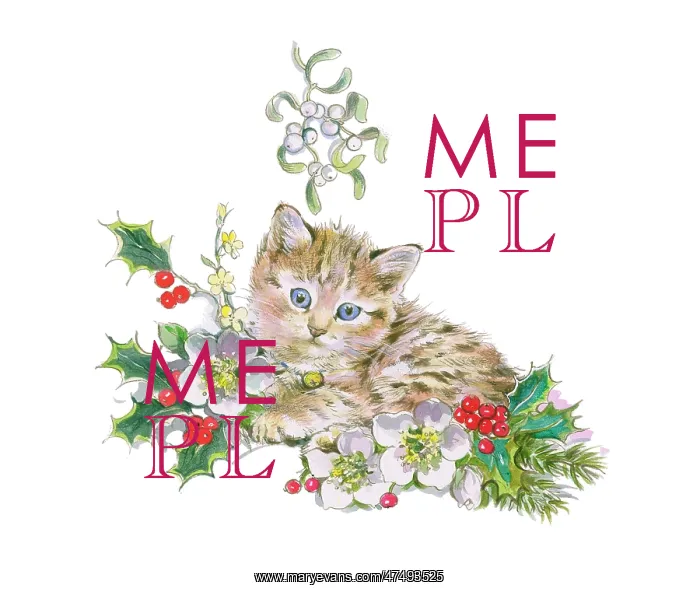 : Kitten with holly and Christmas roses : Kitten with holly and Christmas roses