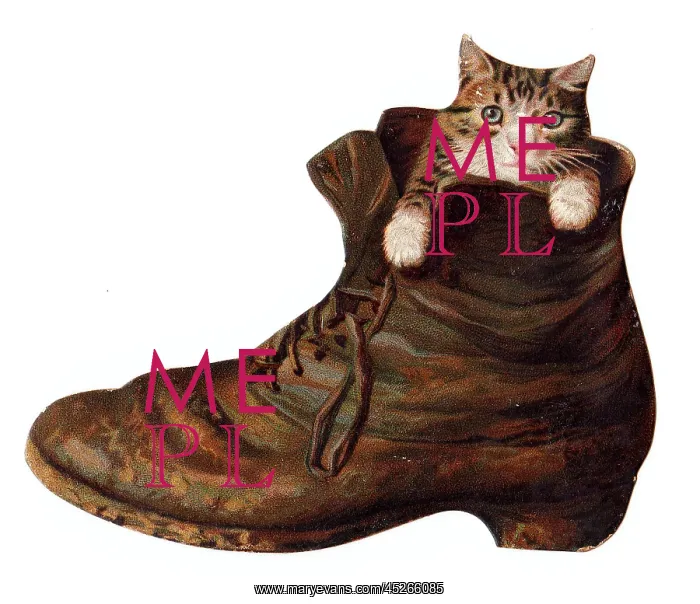  : Kitten inside an old boot on a greetings card