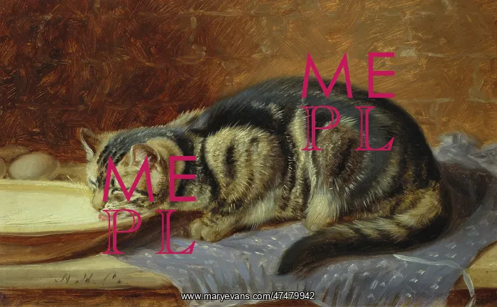: Kitten Lapping Milk : Kitten Lapping Milk