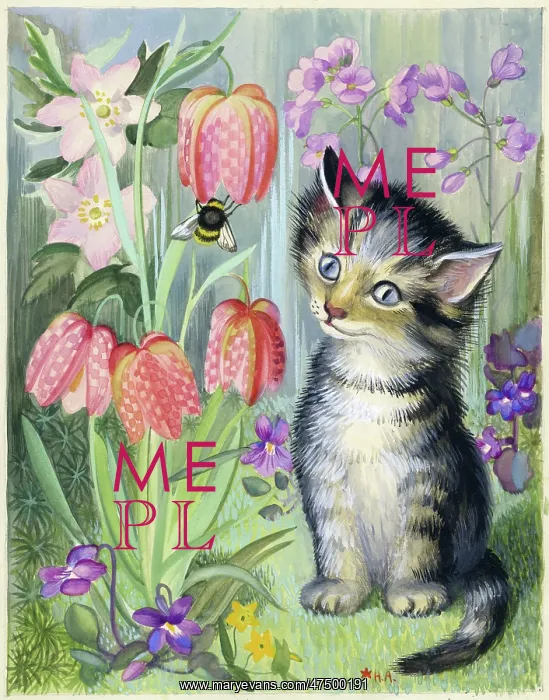 : Kitten looking at a bee on fritillary : Kitten looking at a bee on fritillary