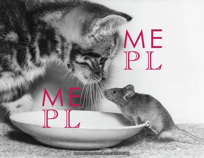 : Kitten and Mouse with saucer of milk : Kitten and Mouse with saucer of milk
