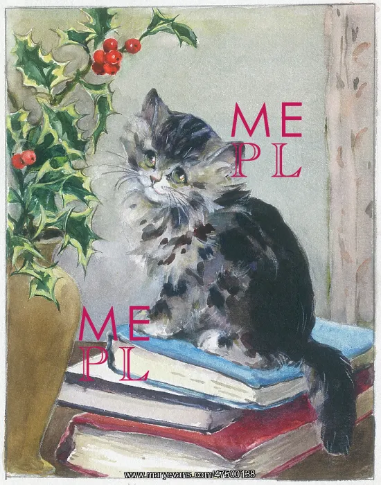  : Kitten on a pile of books