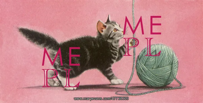  : Kitten plays with Ball of Yarn