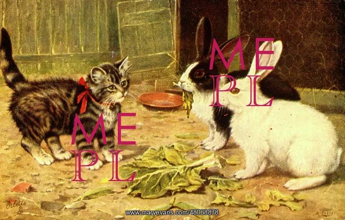  : Kitten and two rabbits