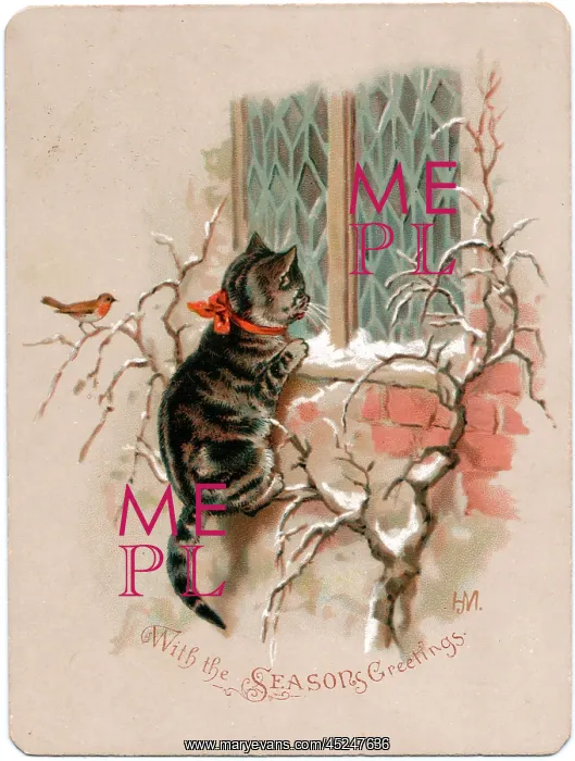 : Kitten and robin on a Christmas card : Kitten and robin on a Christmas card