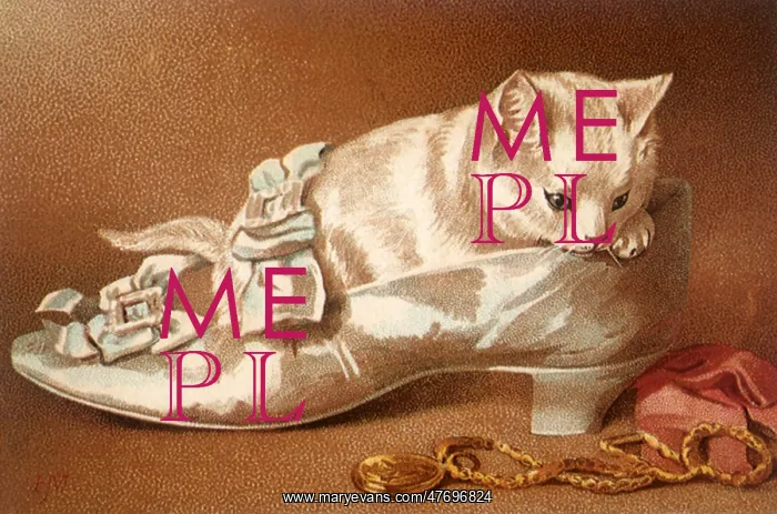  : Kitten in Satin Shoe
