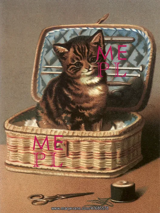  : Kitten in Sewing Kit